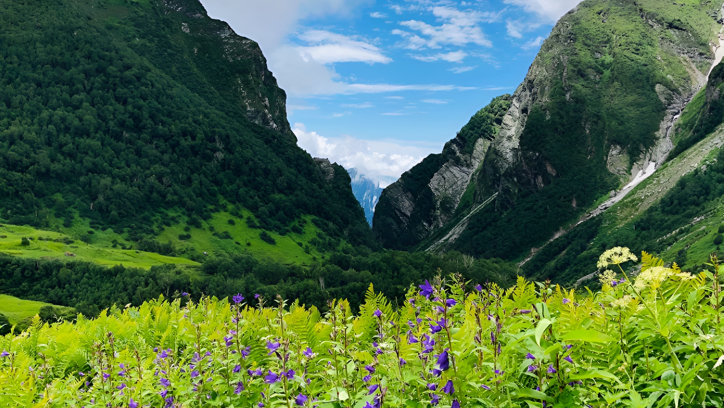 Explore Uttarakhand Wonders