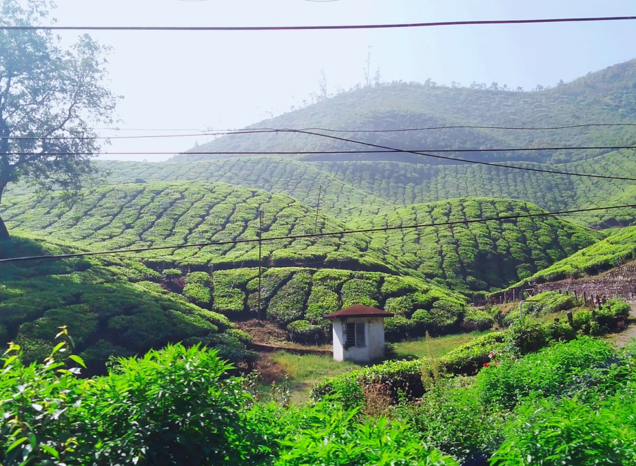 Discover Assam: Where Nature Meets Heritage