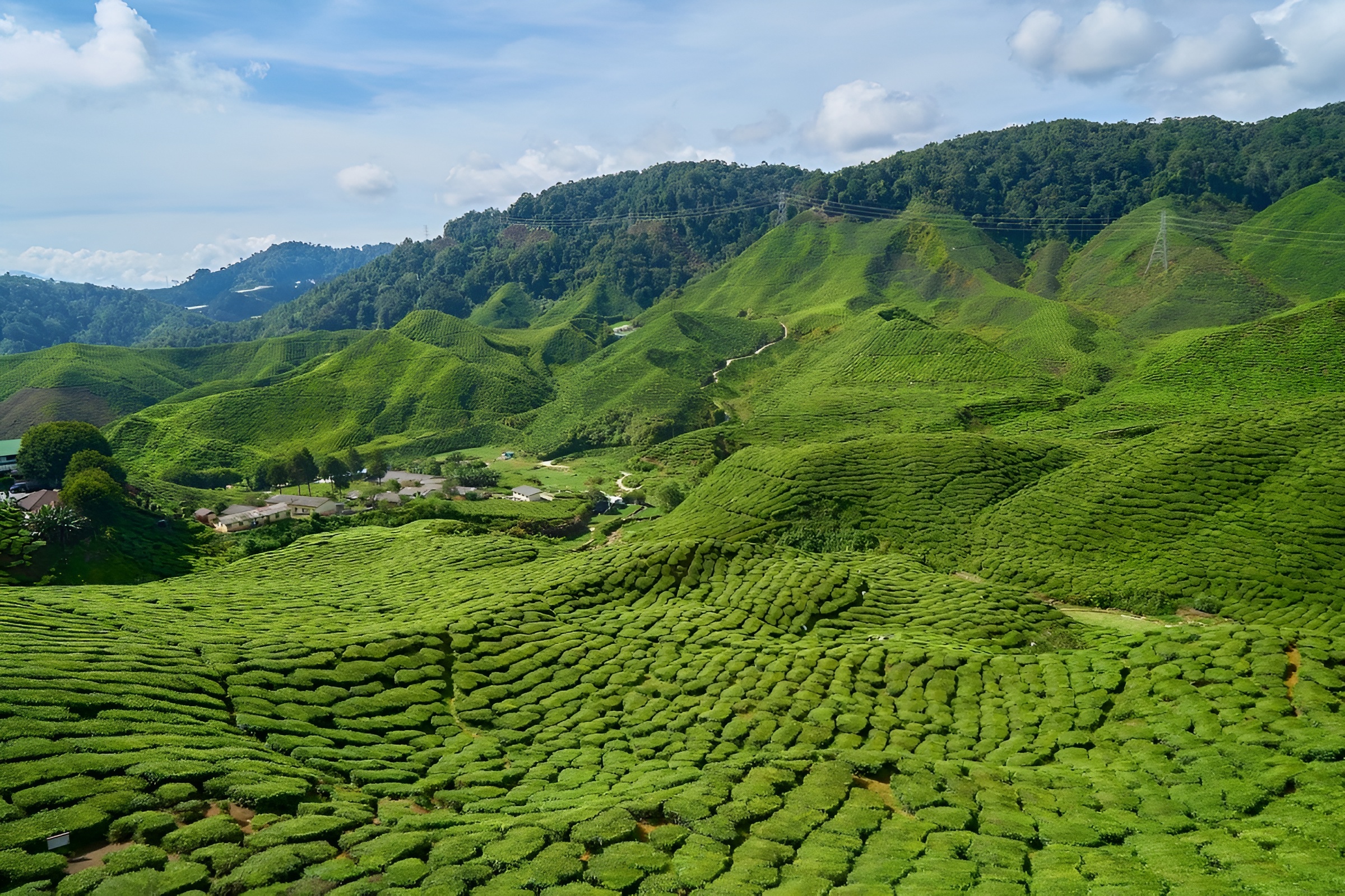 Discover Assam Heritage