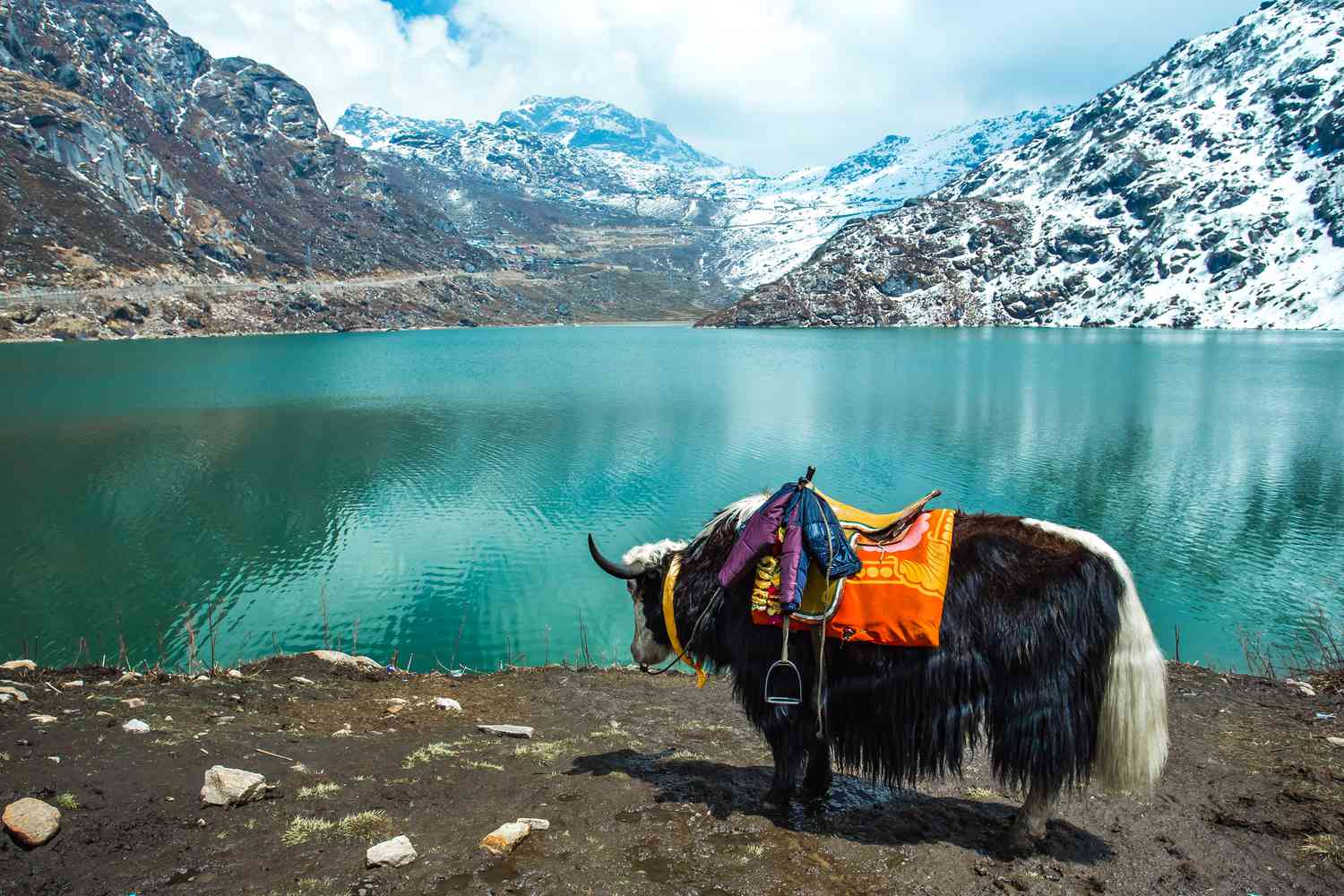 Explore Beauty of Sikkim