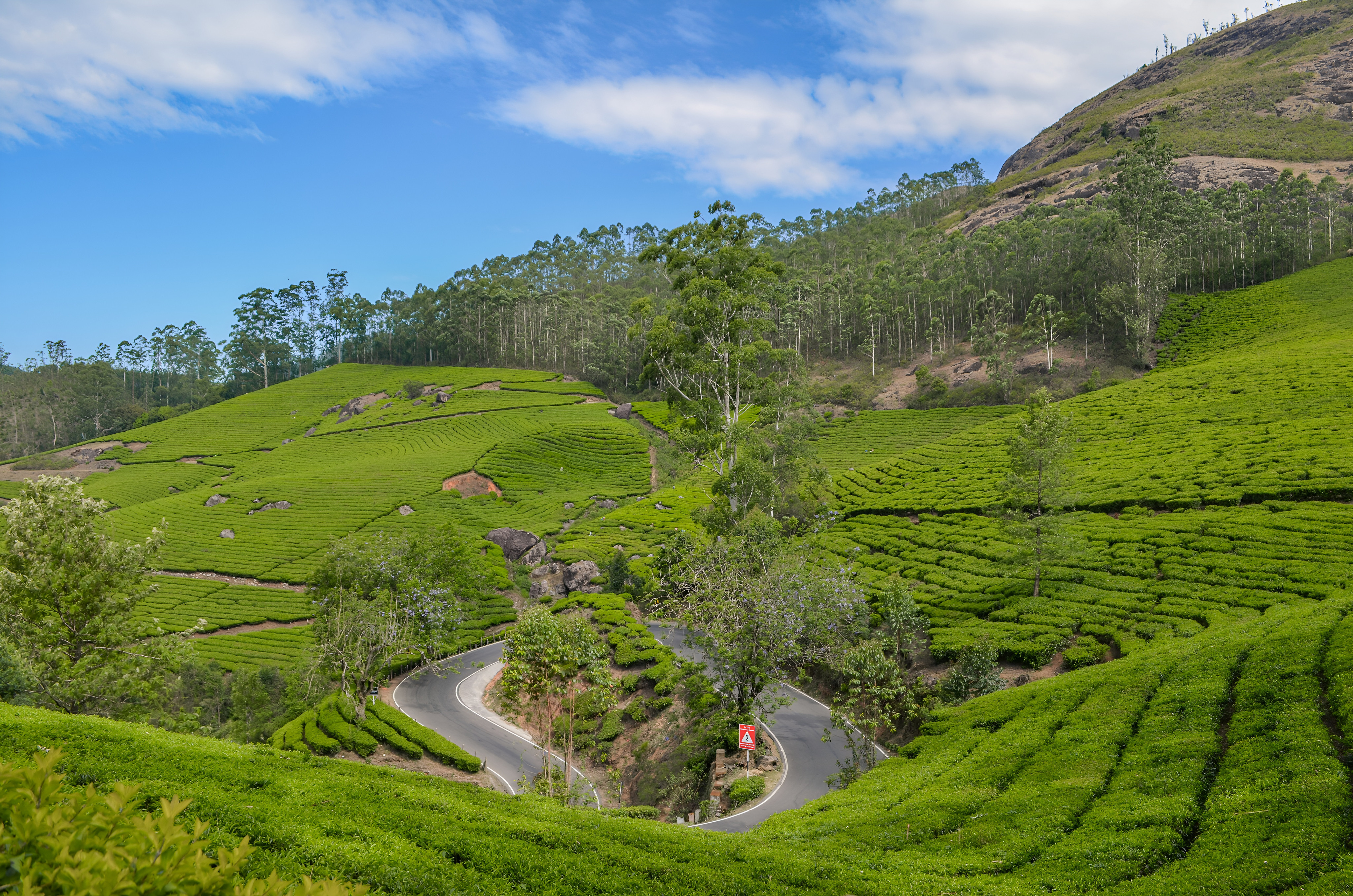 Discover Kerala Nature 