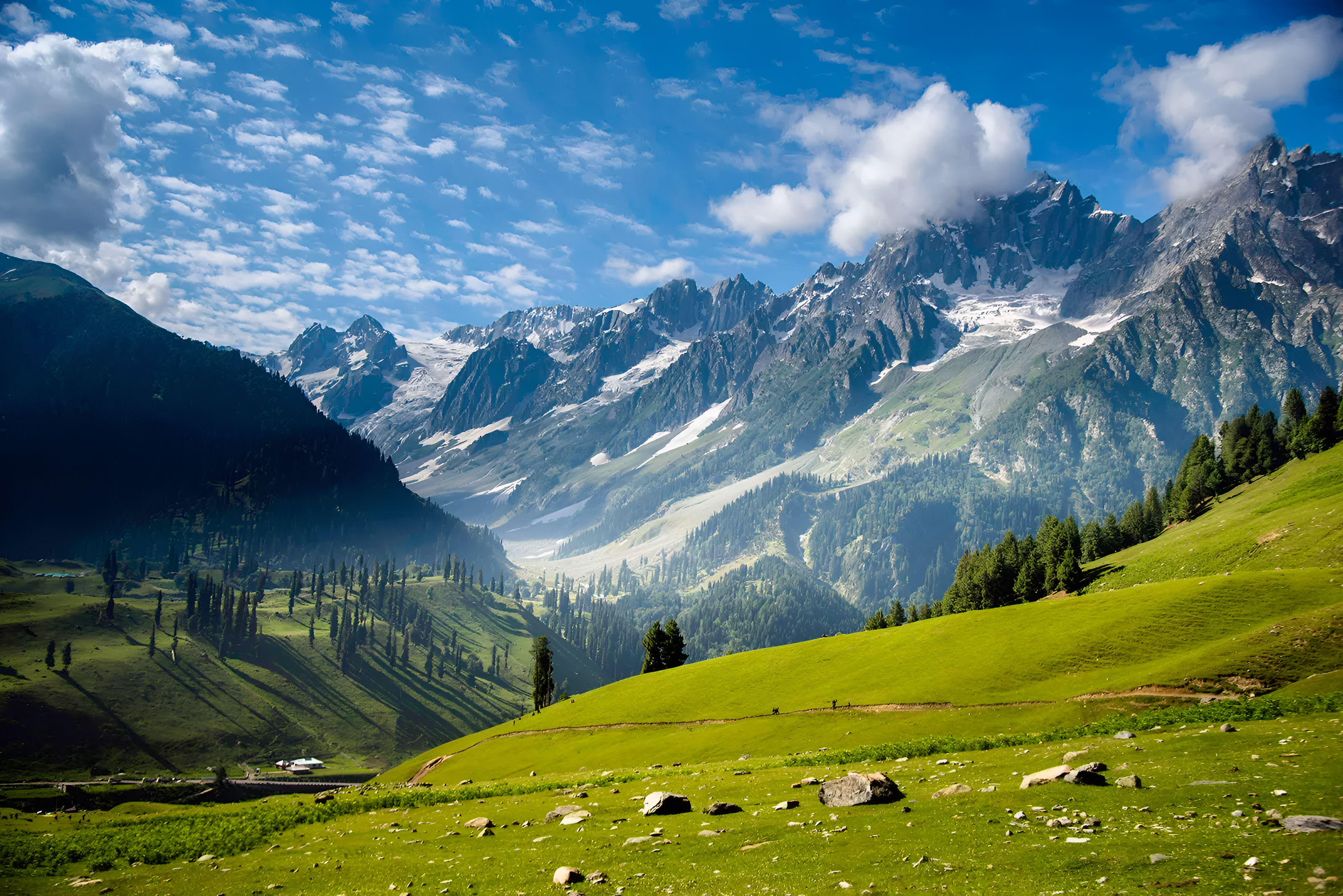 Escape to Kashmir Nature 
