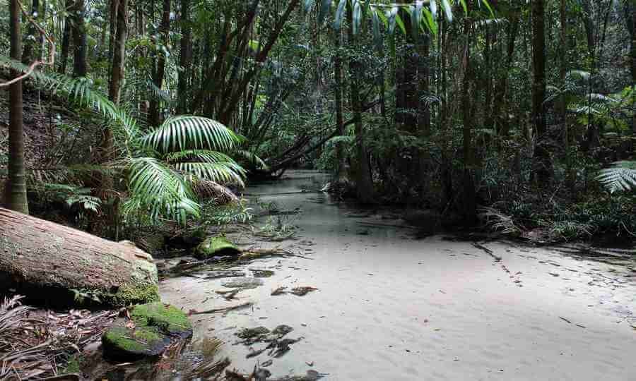 Activity Image