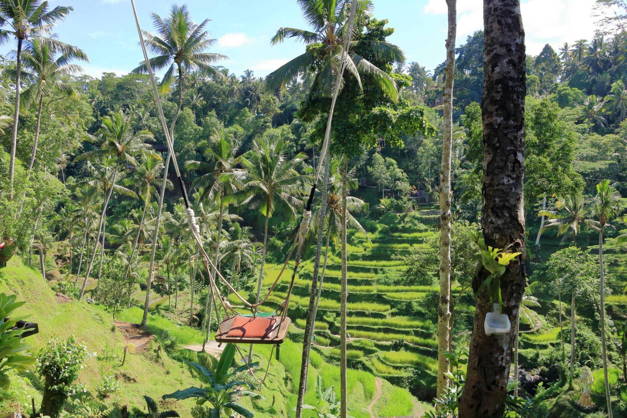 Tegallalang Rice Terrace & Bali Swing