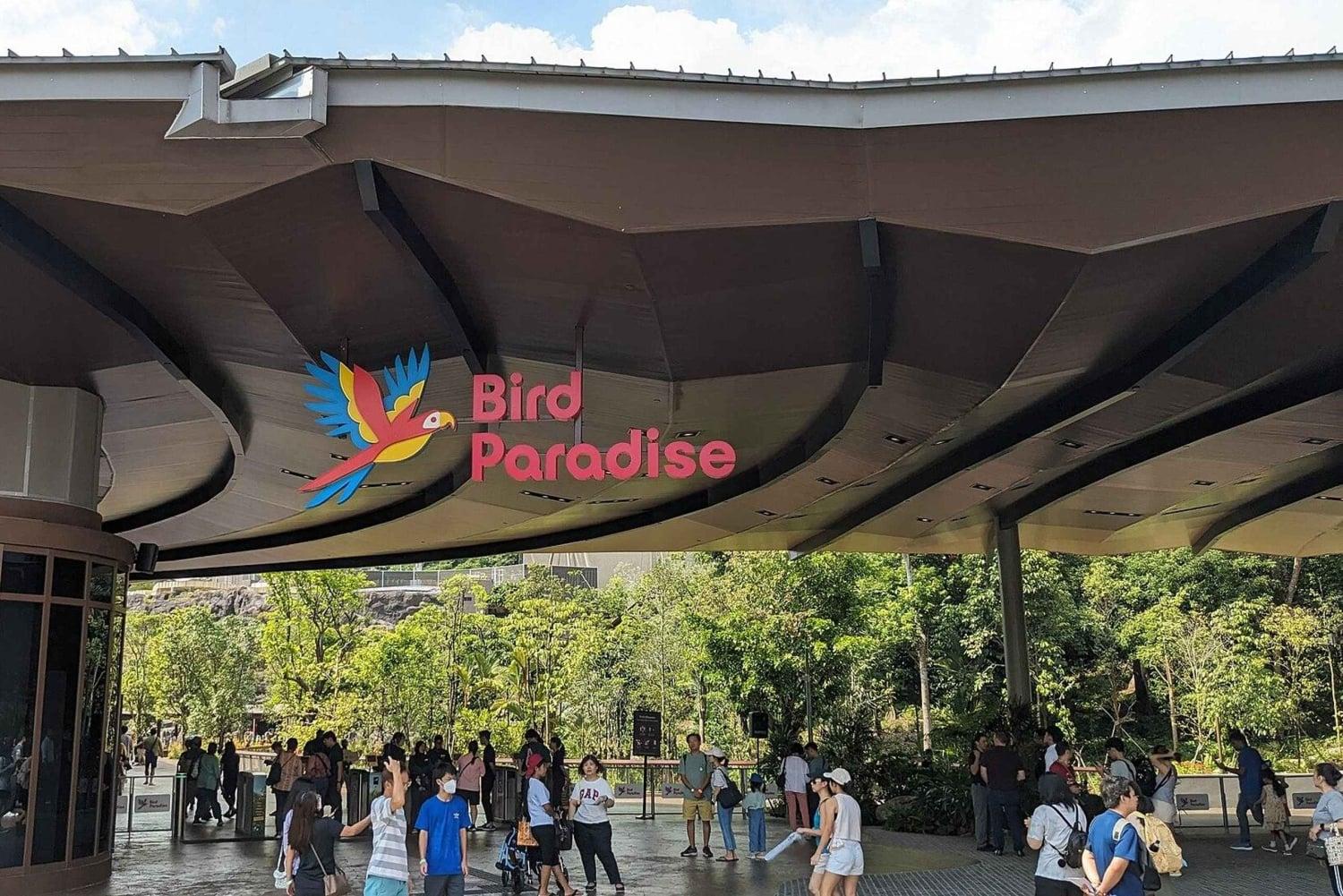 Bird Paradise