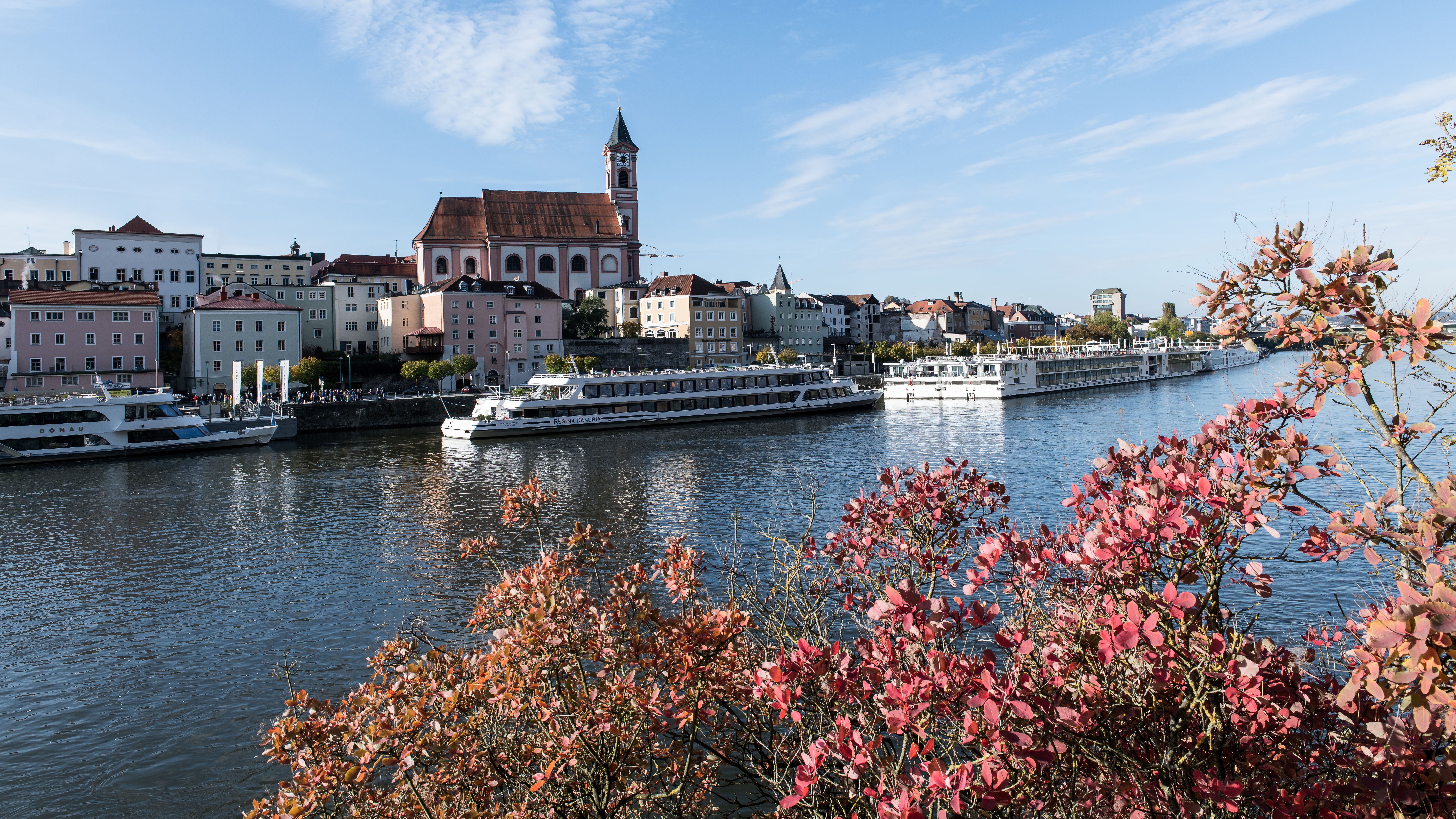 Rhine River Cruise
