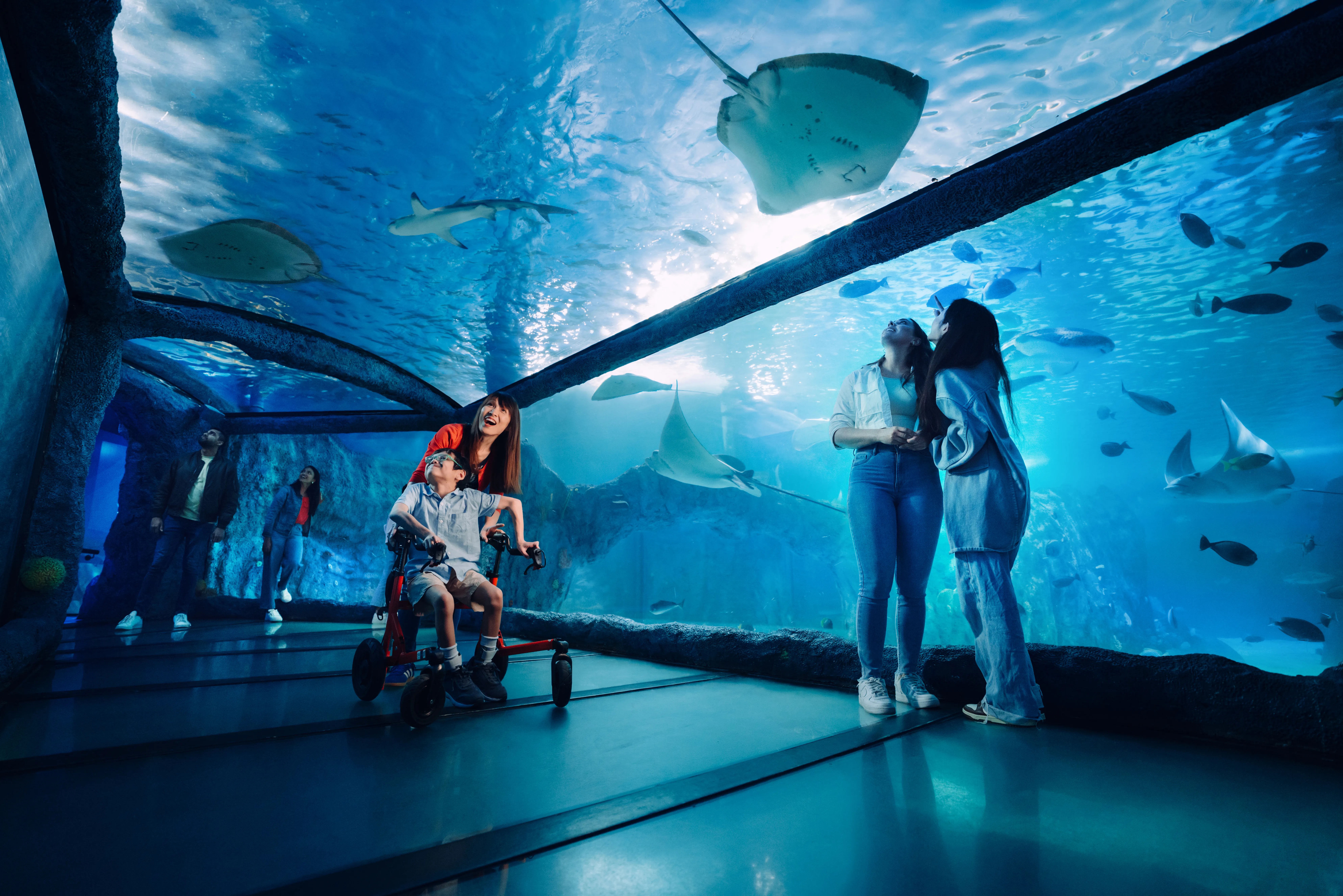 SEA LIFE Sydney Aquarium