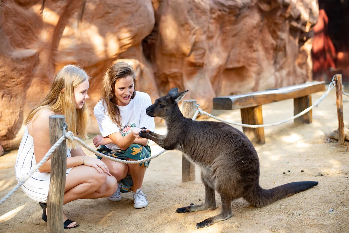 WILD LIFE Sydney Zoo