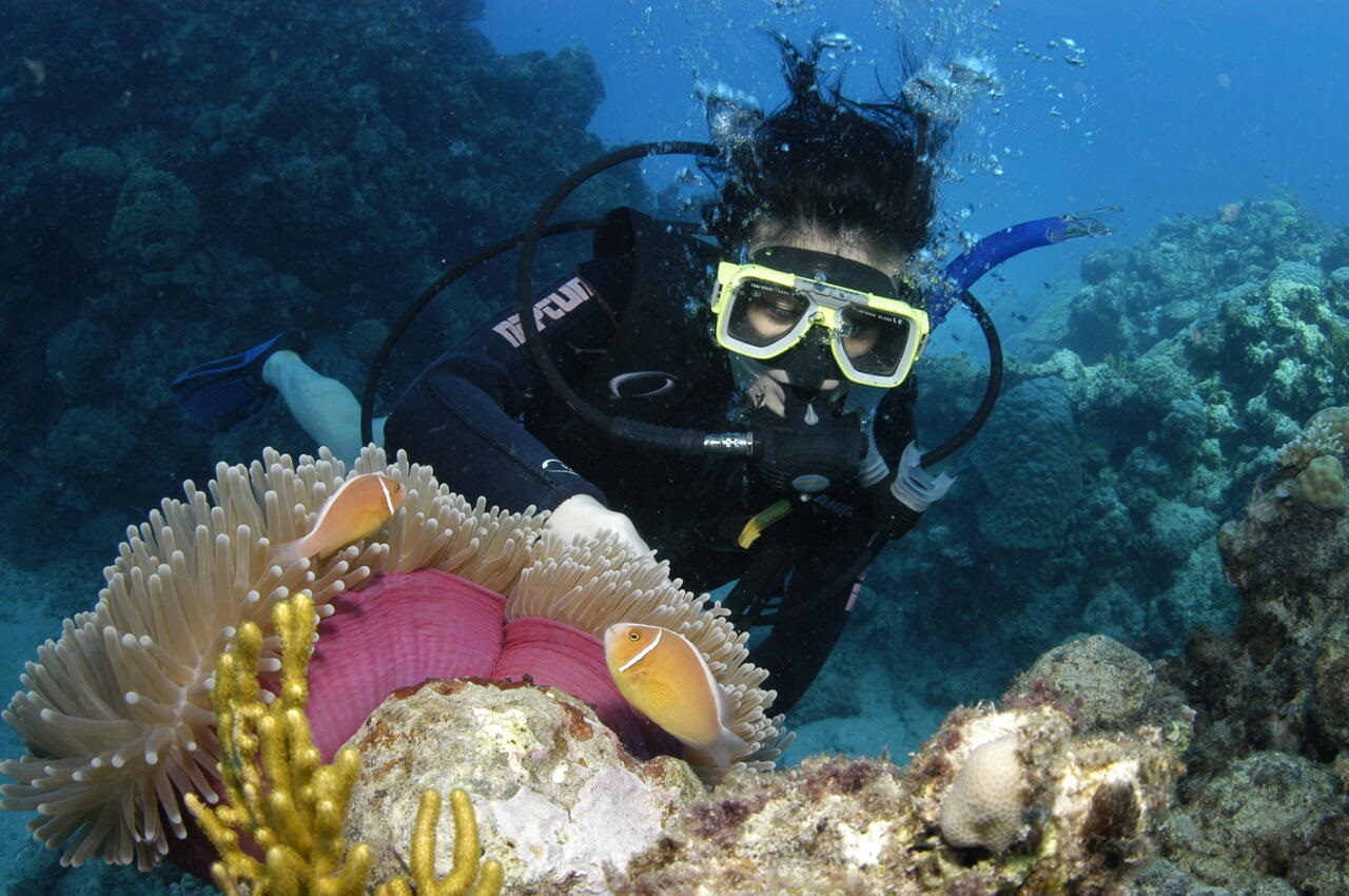 Snorkelling Experience