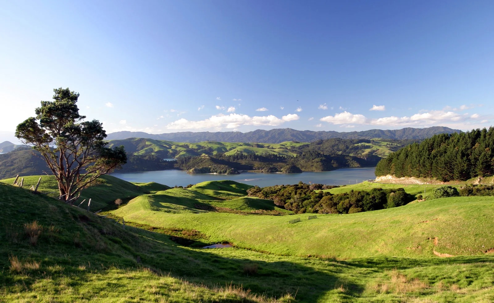 Scenic Waikato Countryside