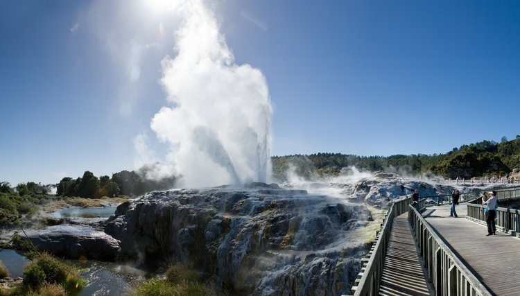 Te Puia Thermal Reserve