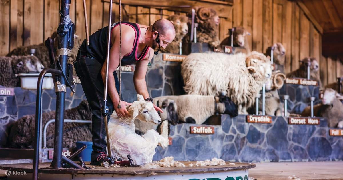 Agrodome Farm Show