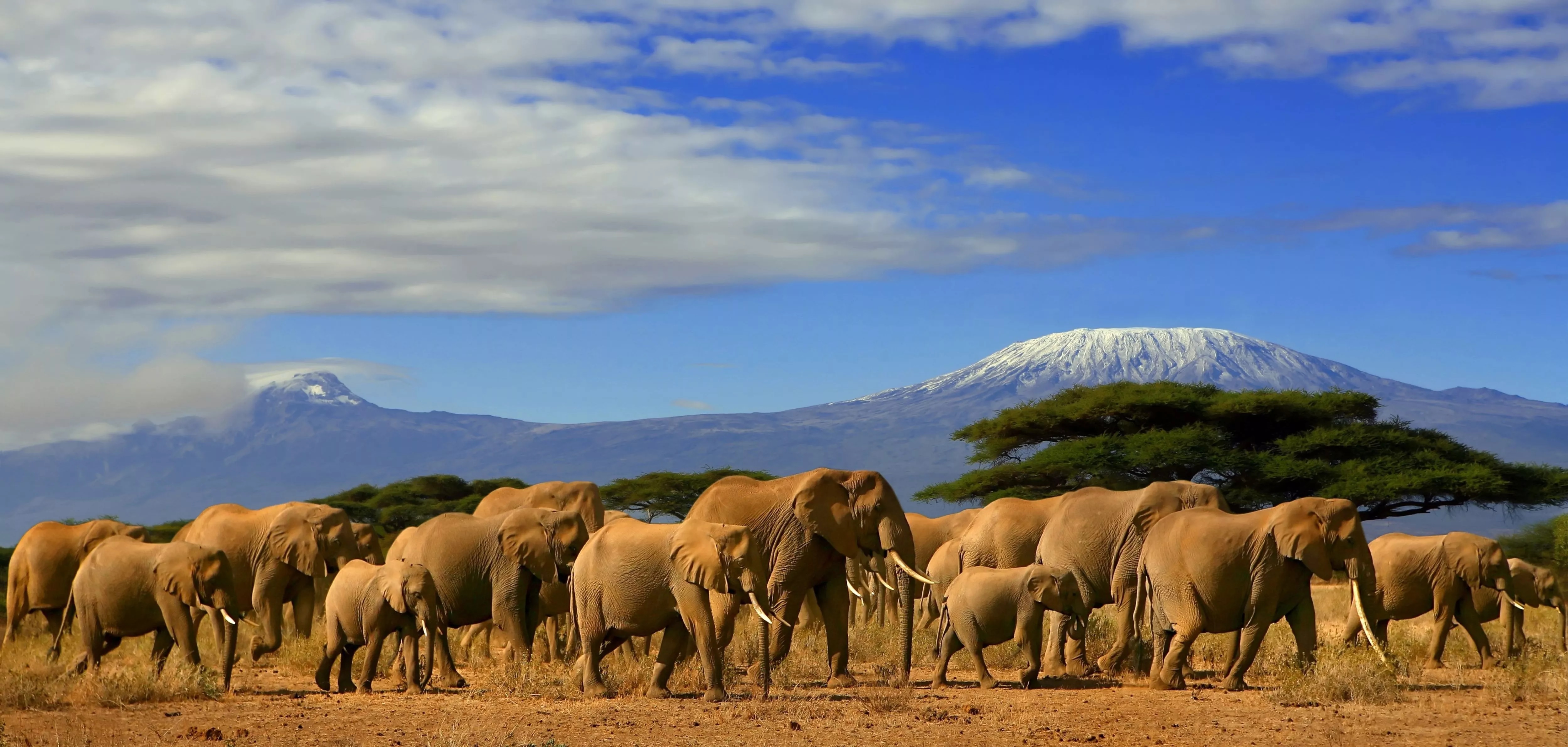 Kenya Tours